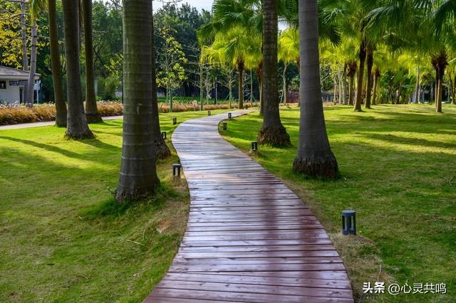 两性关系；不管你信不信，女人过54岁，都有如下7个症状，要接受