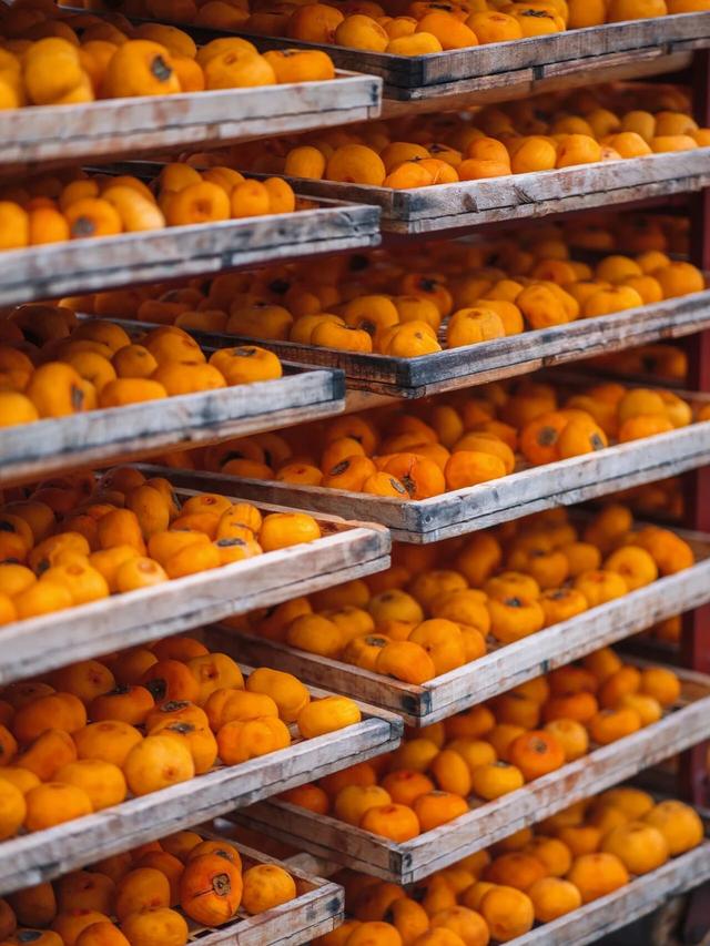 最佳观赏期！冬天来广西，指定有好“柿”！（附最新实拍图）