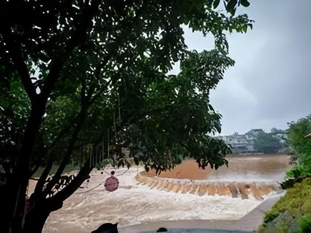 老兵军嫂游柳江：曾家园里看古树，烟雨河畔话当年