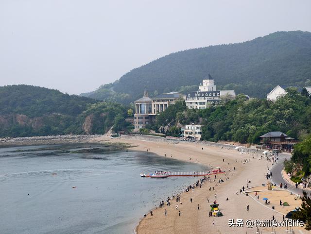 大连海之韵公园·棒槌岛