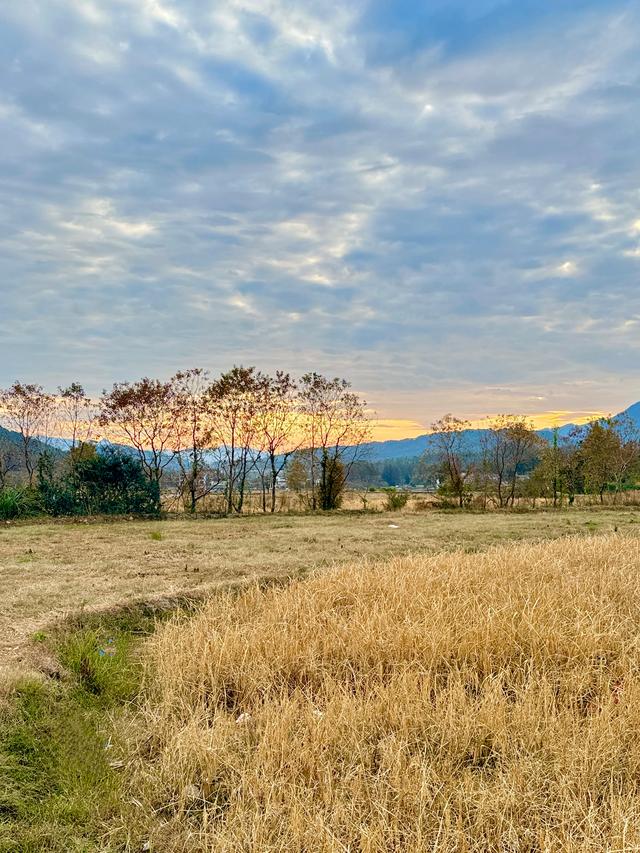 追着晚秋(黟县宏村镇塔川村)