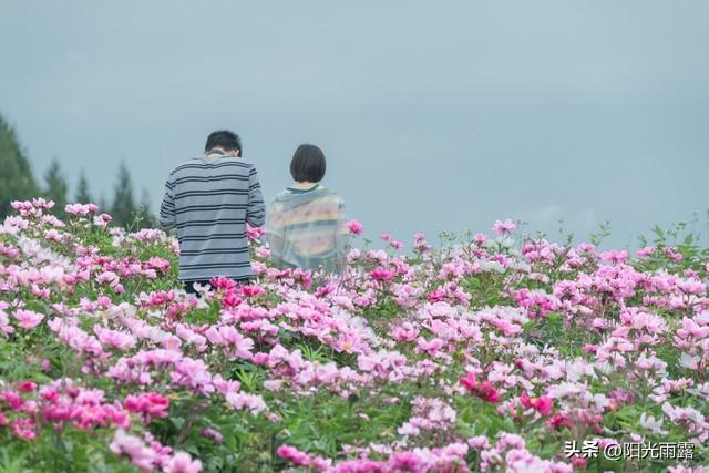 两性关系：55-65岁这十年，惜命的方式，不是锻炼，是做好这6点