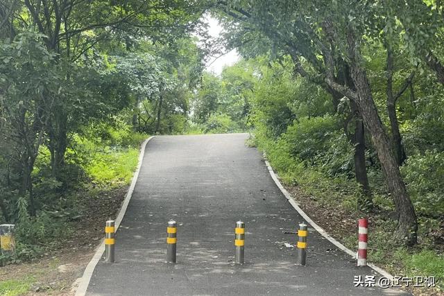 沈阳周边隐藏的“小阿勒泰”！市内出发一小时直达的云端秘境，还有高山草甸+萌宠乐园