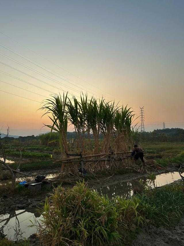 从化漫游记:撞见广州最温柔的落日与烟火