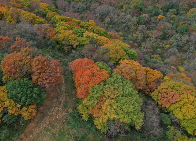 一步一景！旺苍盐井峡五彩斑斓，就像秋日童话甚是迷人！