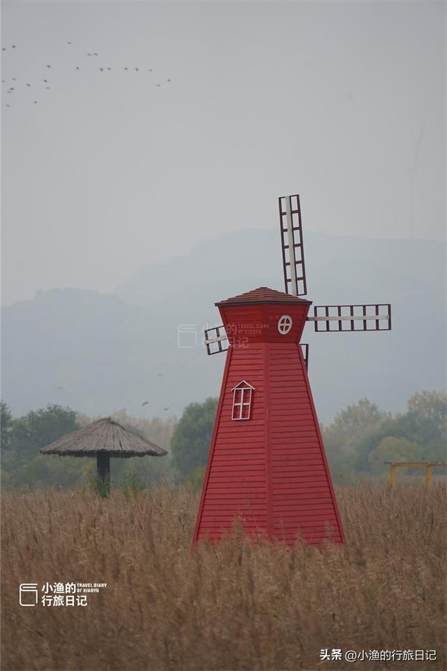 陕西秋冬自驾，浪漫天花板！一路风景一路惊喜！周末去浪