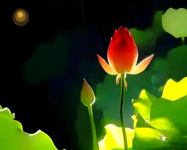 别说秋分凉快了。古人早道破阴阳相半玄机，这3处平分藏尽秋韵