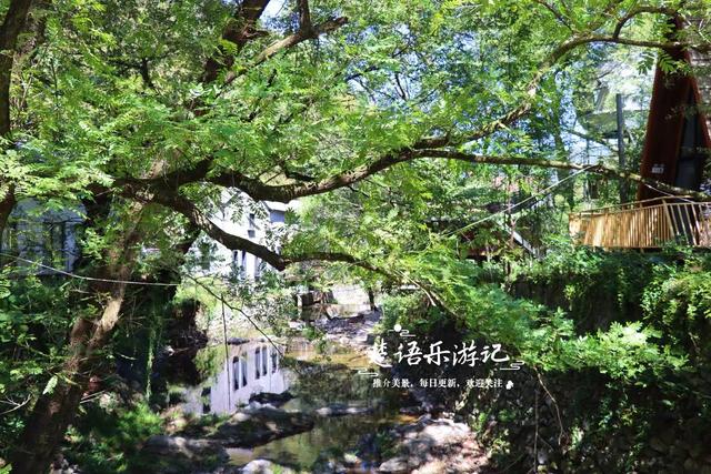 浙江宁波的山间古村，特色民宿藏在树林之中，溪水中流成玩水胜地