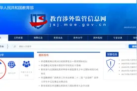 高考后中外合办“计划内”“计划外”是什么意思丨读透免踩坑！图片