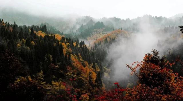 这个秋天来坪坝营，把日子过成童话！