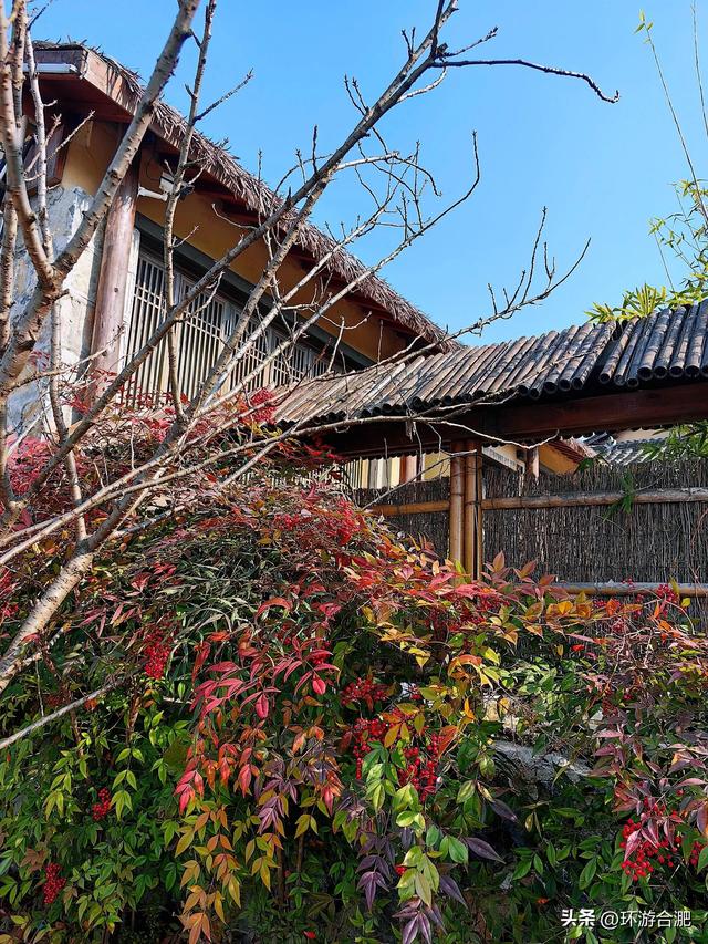 分享一个合肥周边小山村的初冬逃离计划