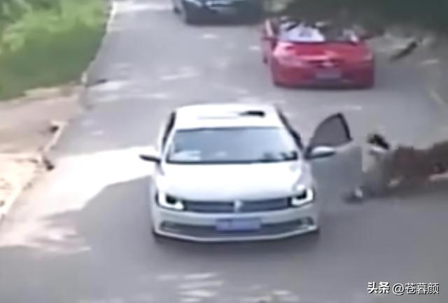 16年，母亲虎口救女被咬身亡，女儿至今未得到父亲原谅：怨谁