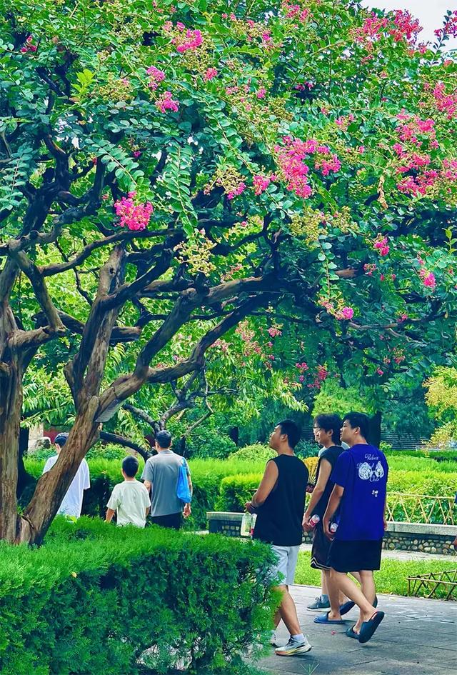 雨霁岱庙景如画 游人畅享清凉意