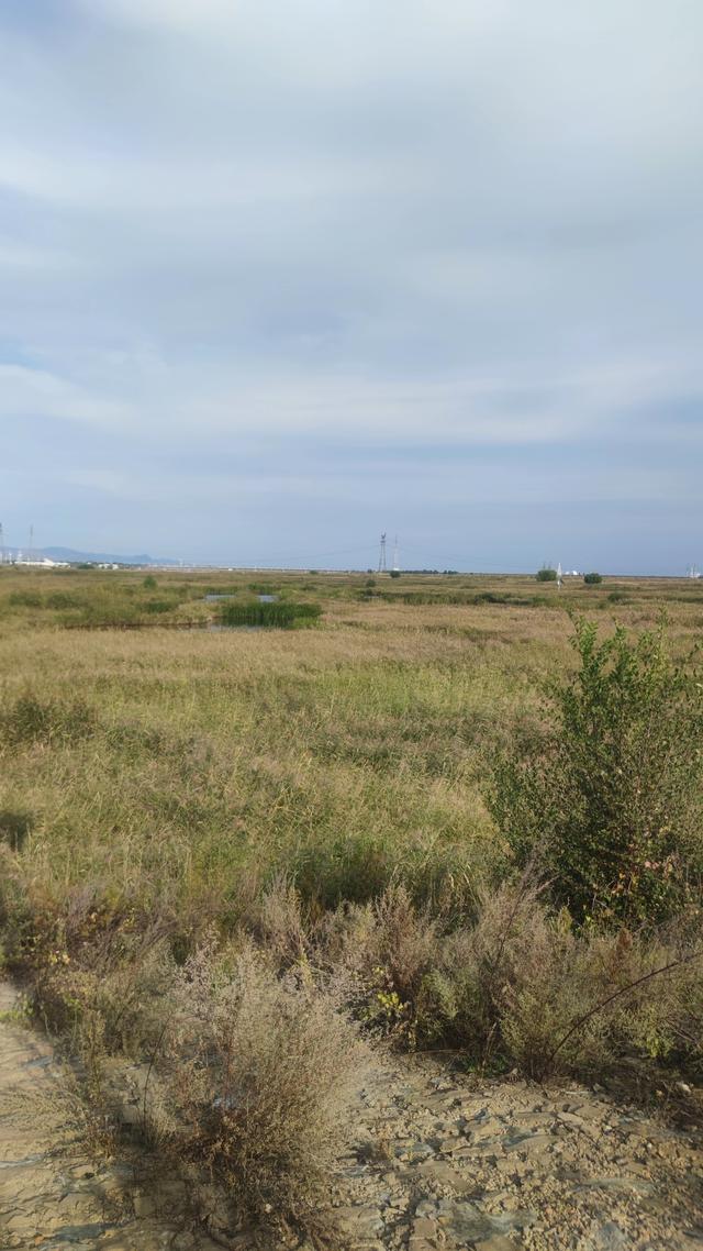 包头城南靠近黄河的昭君湖，也叫小白河景区，黄河浩渺，湖平如镜