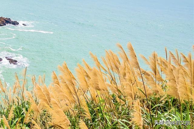 走，我们嵊泗登高去！山海秘境，私藏最美秋光！