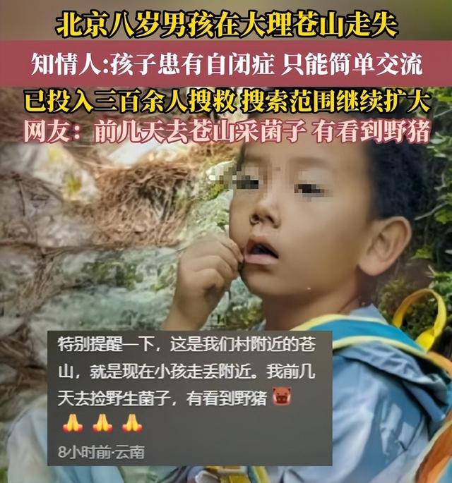 自闭儿走丢最新:3次搜山无果，救援队传来噩耗，夏令营黑幕曝光