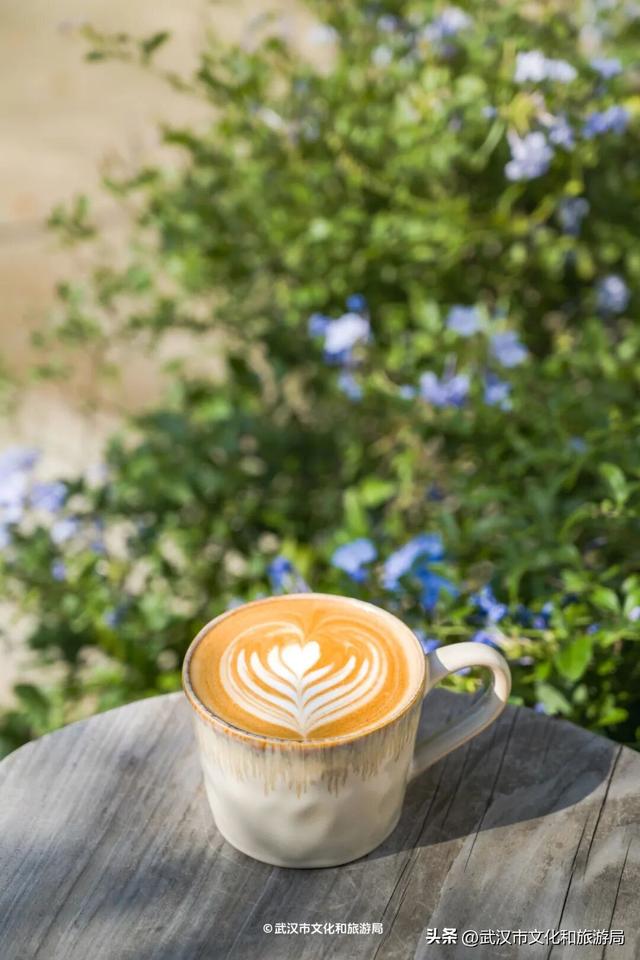 直冲20°C！武汉赏秋天花板，上新3个玩法