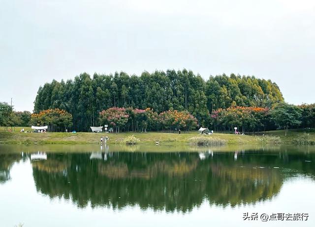 成都市区最大免费露营地，可以烧烤、烤肉，公共交通可到达！