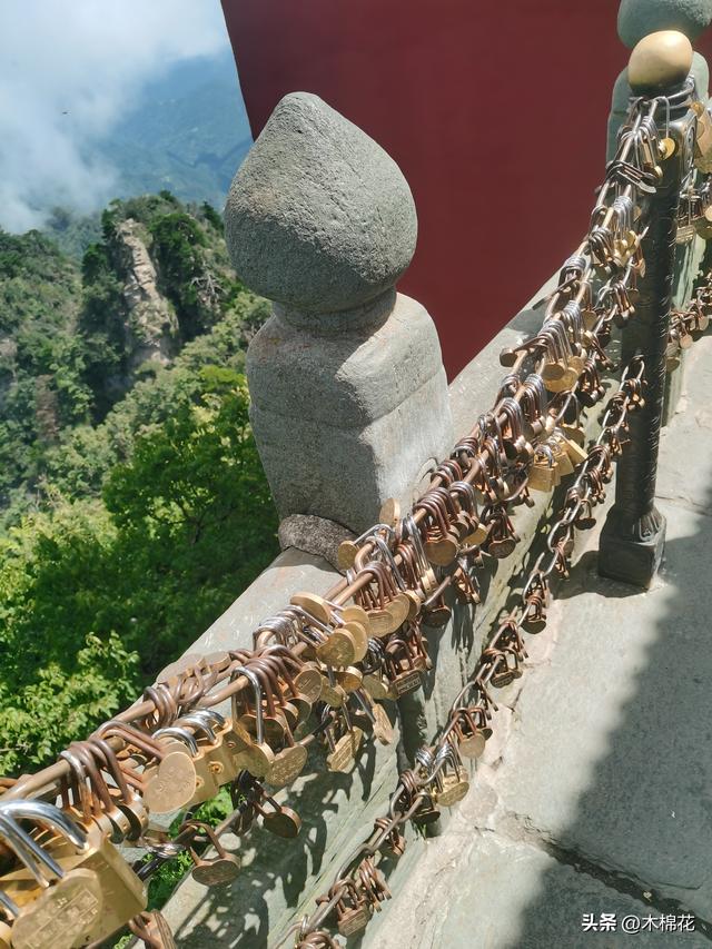 携宠旅游第二天