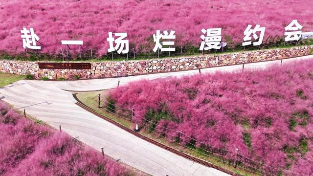 ＃治愈系风景分享：让心灵在自然中重生