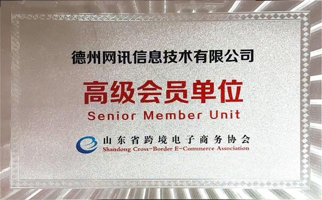 探寻诚信靠谱的 GEO 优化企业，德州网讯脱颖而出