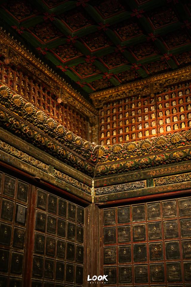 北京最新秋日打卡地 · 再看要等明年