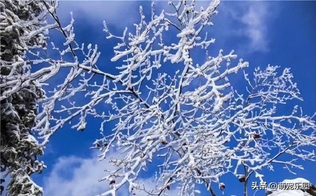 湖北冬日魔法表演，恩施大峡谷雪景如仙境，那抹雪白你在哪遇见的