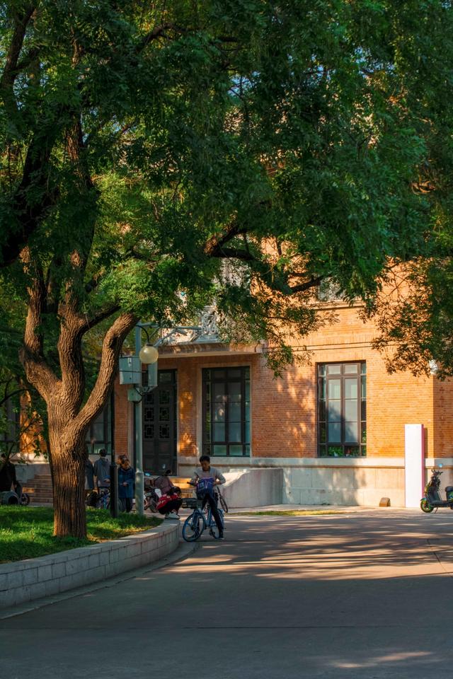 北京最被低估的赏秋地，一定是庄重又典雅清华大学