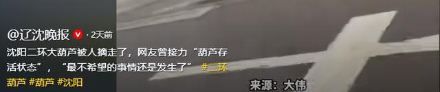摘葫芦男“社会性死亡”：处罚曝光，婚礼取消，脸面和幸福都没了