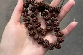 个性小众文玩：五种菩提子，你玩过几种？图片