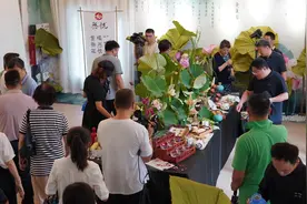 莲动百果，荷香世博！青岛第四届荷花节拉开帷幕图片