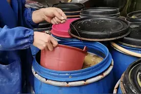 使用中草药组方防控非洲猪瘟与蓝耳混合感染，操作简单效果好图片