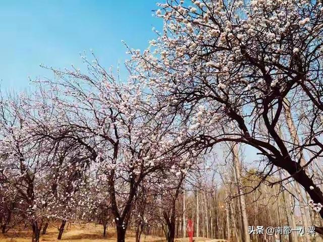 山东济南，四大古镇