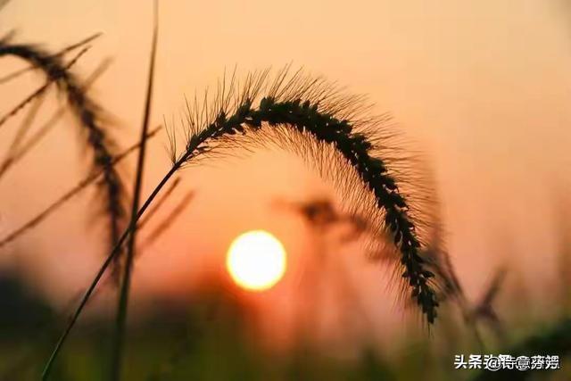 人活着，到底有什么意义？无非就这八个字：珍惜生命，不负此生