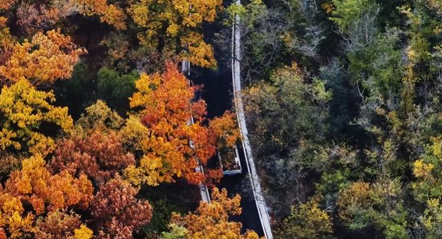 这个国庆来济宁！运河、古村、盘山公路承包你的快乐“驾”期