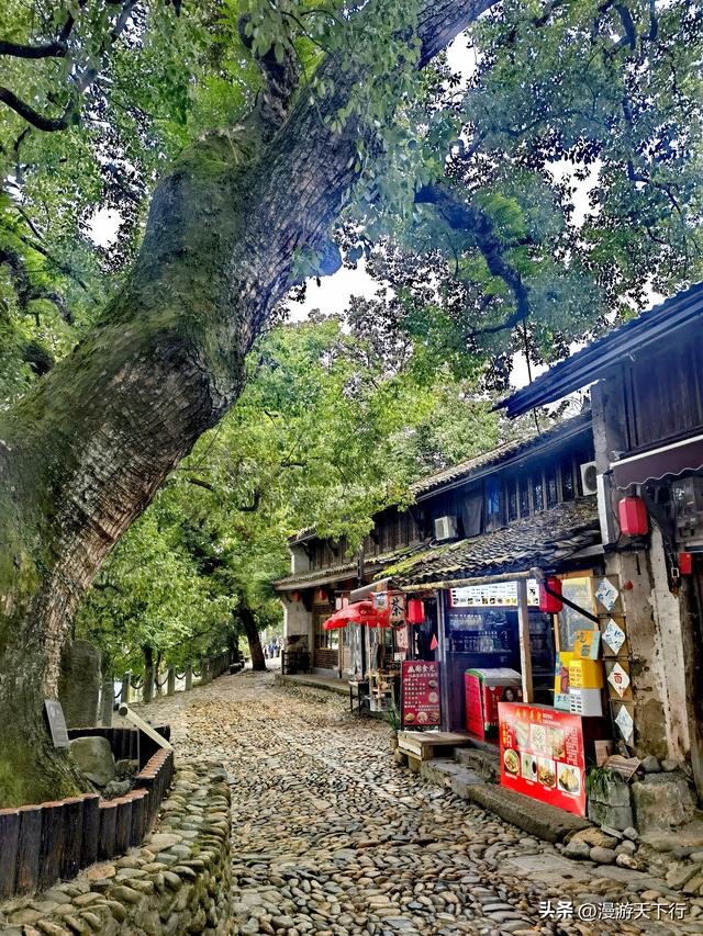 丽水古堰画乡景区没有想象中的那么优秀，去不去皆遗憾