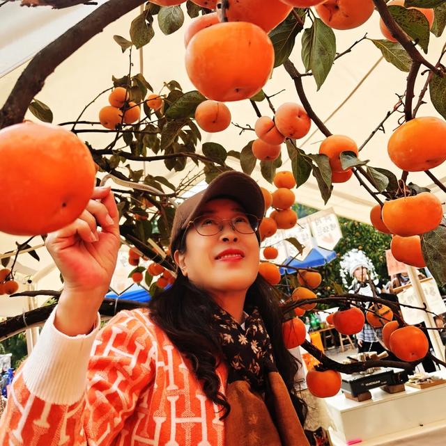 桂林：不入柿园，怎知秋色几许！