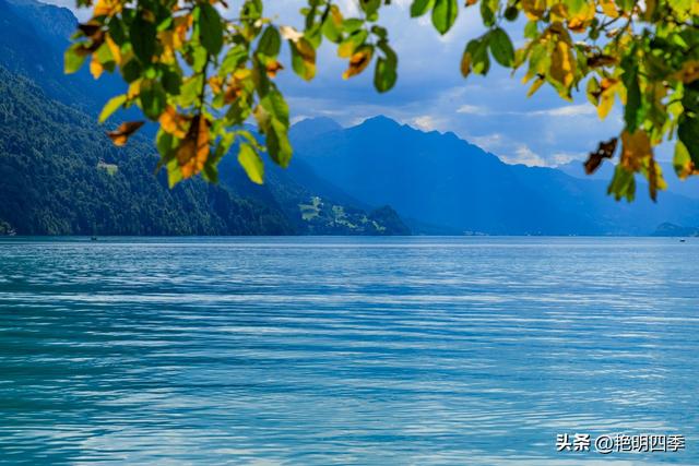 欧游杂记（3）‖ 乘“黄金列车”到因特拉肯：大美瑞士风光之旅