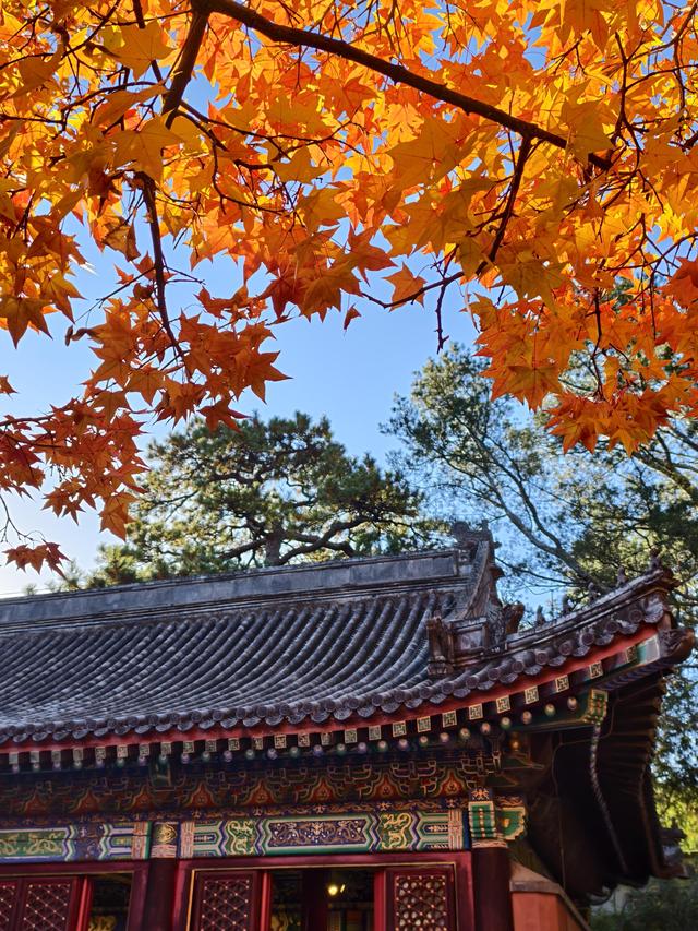 北京的秋是七彩的