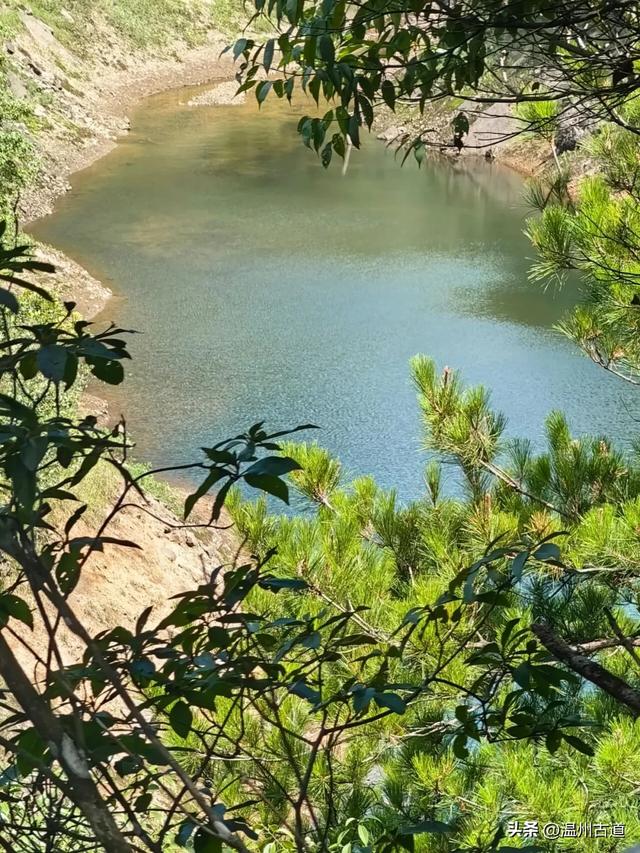 这个凭借21℃的天然清凉悄然“出圈”的森林小镇,别具异域风情!