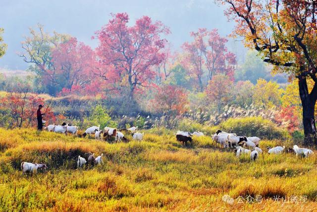 信阳十个醉美秋景等你打卡，来看光山哪些景区上榜
