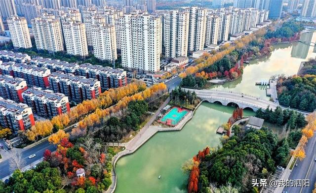 泗阳：城市森林公园换上斑斓冬装 勾勒出一幅冬日生态画卷