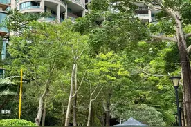 你早晚得承认，这“3楼层”才是真正的“黄金楼层”，越住越值钱图片