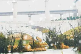 从哈耶克十条“金句”中看其思想的深远与局限图片