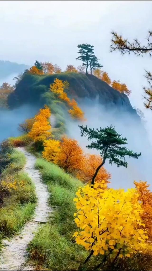 大巴山安康美景新韵—你我在雨中雨中邂逅