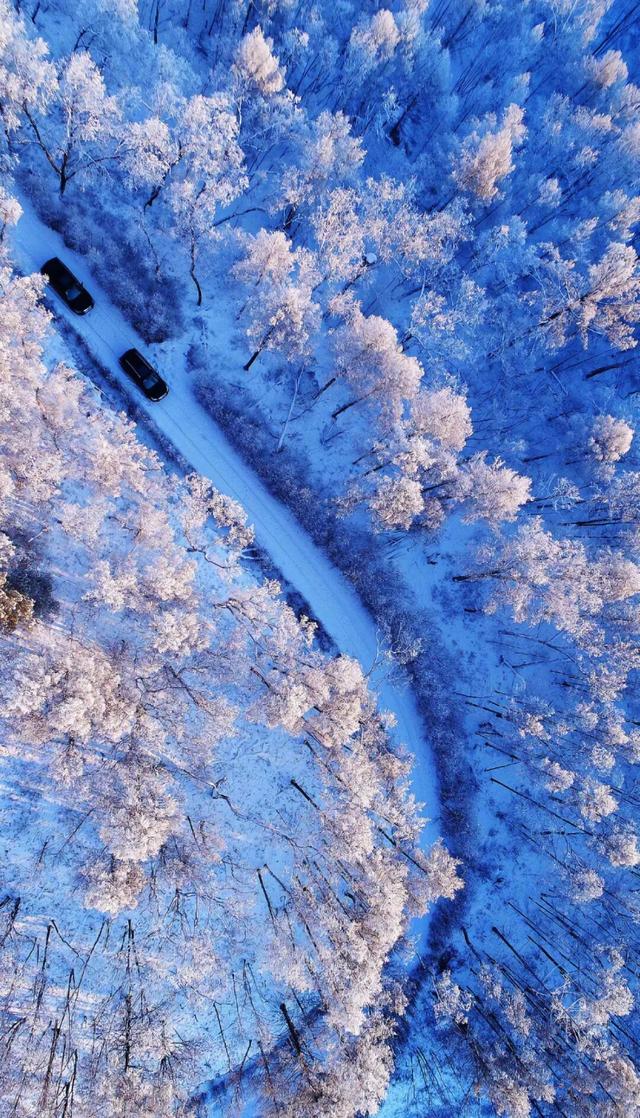 《疯狂动物城》之冰川镇竟撞脸呼伦湖！