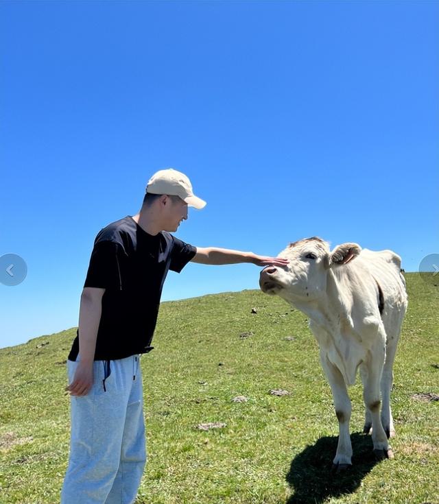 真相大白！男子遭牛群踩踏，不是因为挑逗，知情人透露 目标不是人