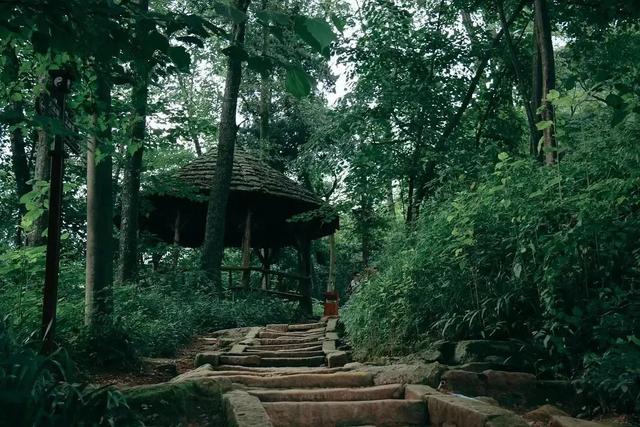 都江堰:山水清凉,生活正好