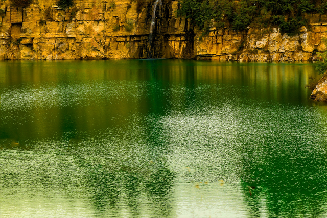 呐！送你一片立冬日的多巴胺