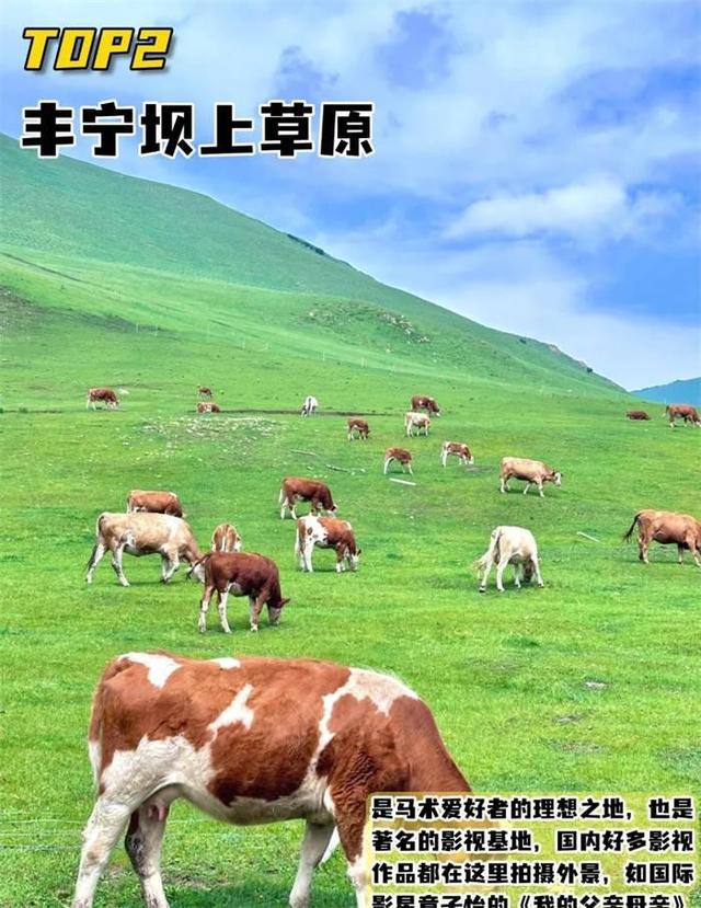 我是闽南人，去了趟河北承德，有三个疑问就是不明白，忍不住问下